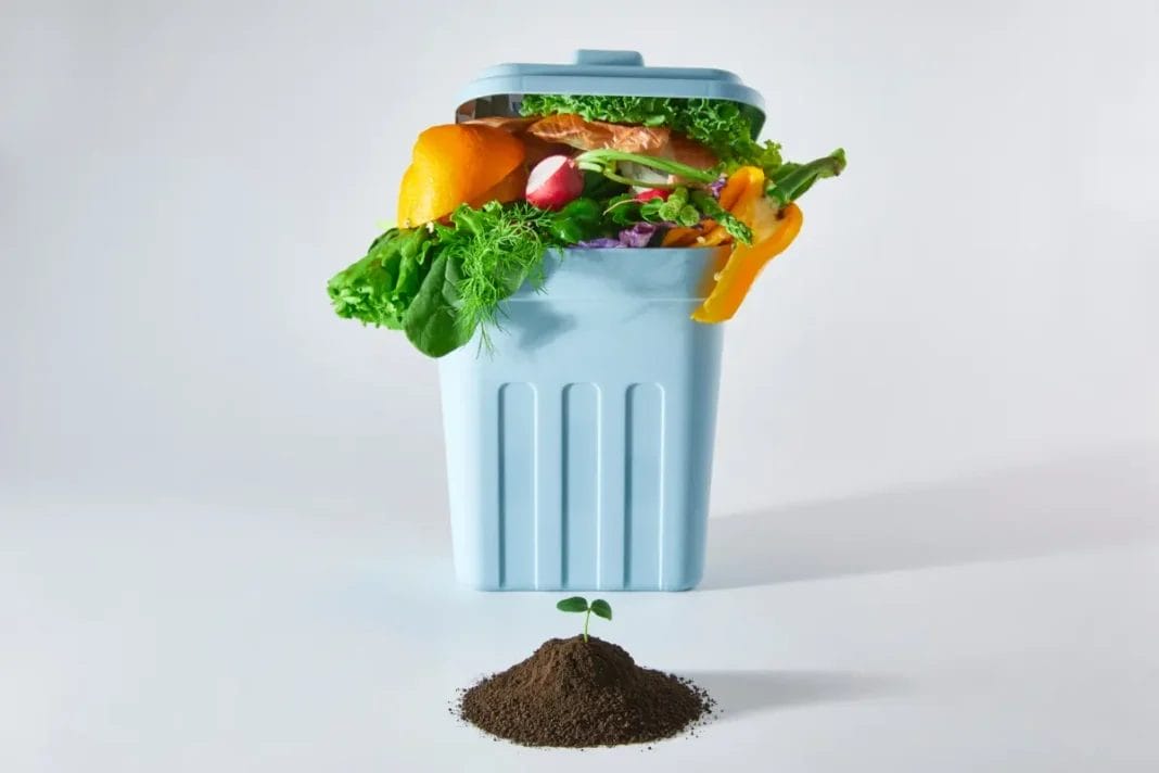 spreco alimentare